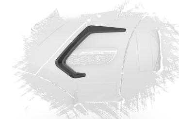 CSR Air Intake Blenden | Airintakes mit ABE für Mini F55, F56, F27 AI032-C Carbon Look Hochglanz (keine Lackierung erforderlich)