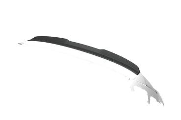 CSR Heckspoiler | Heckflügel mit ABE für BMW 1er E81 / E87 HF128-C Carbon Look Hochglanz (keine Lackierung erforderlich)