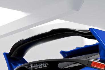 CSR Heckspoiler | Heckflügel mit ABE für Honda Civic Type R FK8 HF682-C Carbon Look Hochglanz (keine Lackierung erforderlich)