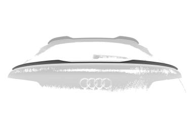CSR Heckspoiler | Heckflügel mit ABE für Audi Q5 (FYT) Sportback HF872-C Carbon Look Hochglanz (keine Lackierung erforderlich)