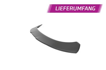 CSR Heckspoiler | Heckflügel mit ABE für Mini F58 Coupe HF972-S strukturiert schwarz matt (keine Lackierung erforderlich)