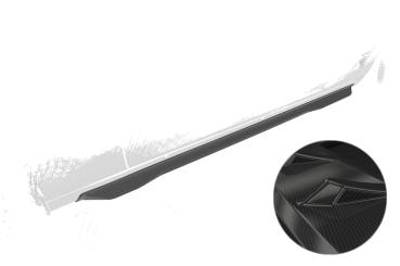 CSR Seitenschweller für Dodge Challenger (3.Gen) SS565-C Carbon Look Hochglanz (keine Lackierung erforderlich)