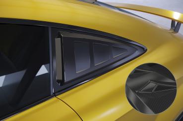 CSR Seitenscheibenblenden mit ABE für Audi TT (8J) Coupe SSB006-C Carbon Look Hochglanz (keine Lackierung erforderlich)