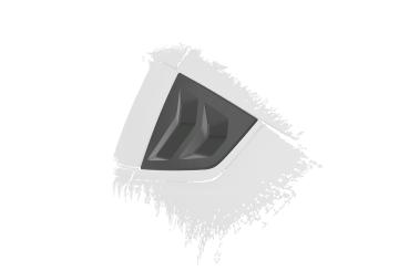 CSR Seitenscheibenblenden mit ABE für Nissan 370Z (Z34) Coupe SSB021-L Lackierung erforderlich (unlackiert roh)