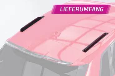 CSR Dachfinnen mit ABE für Audi A3 / S3 / RS3 (8Y) Sportback DF041-L Lackierung erforderlich (unlackiert roh)