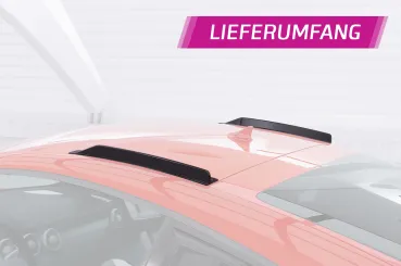 CSR Dachfinnen mit ABE für Audi TT / TTS / TTRS FV 8S Coupe DF014-C Carbon Look Hochglanz (keine Lackierung erforderlich)