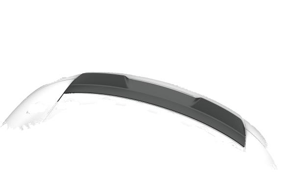 CSR Heckspoiler | Heckflügel mit ABE für Audi TT / TTS 8J HF221-C Carbon Look Hochglanz (keine Lackierung erforderlich)