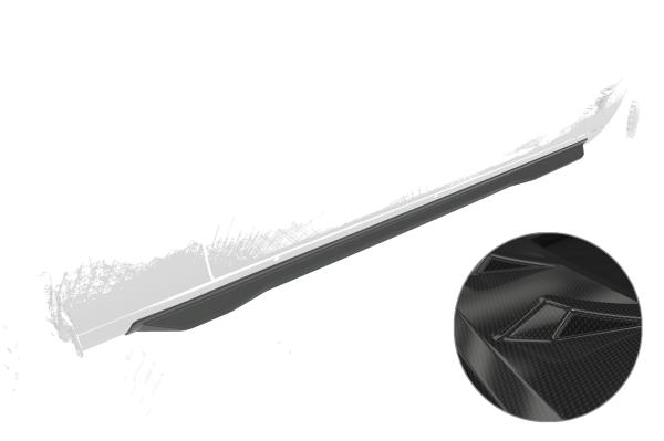 CSR Seitenschweller für Dodge Challenger (3.Gen) SS565-C Carbon Look Hochglanz (keine Lackierung erforderlich)